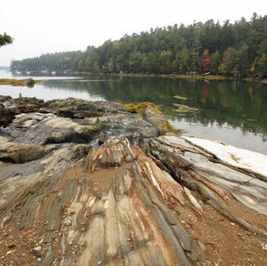 Meet your Posher, Joe